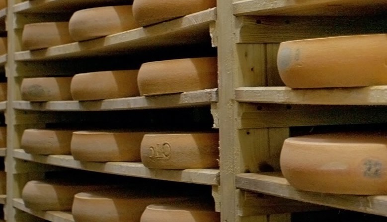 Stockage des meules de Comté