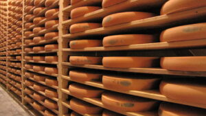 La cave d'affinage